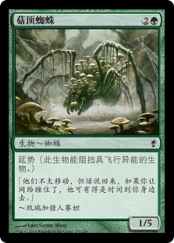 菇顶蜘蛛