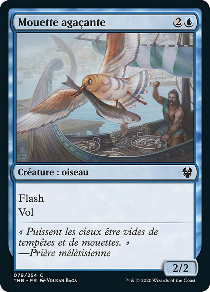 Mouette agaçante