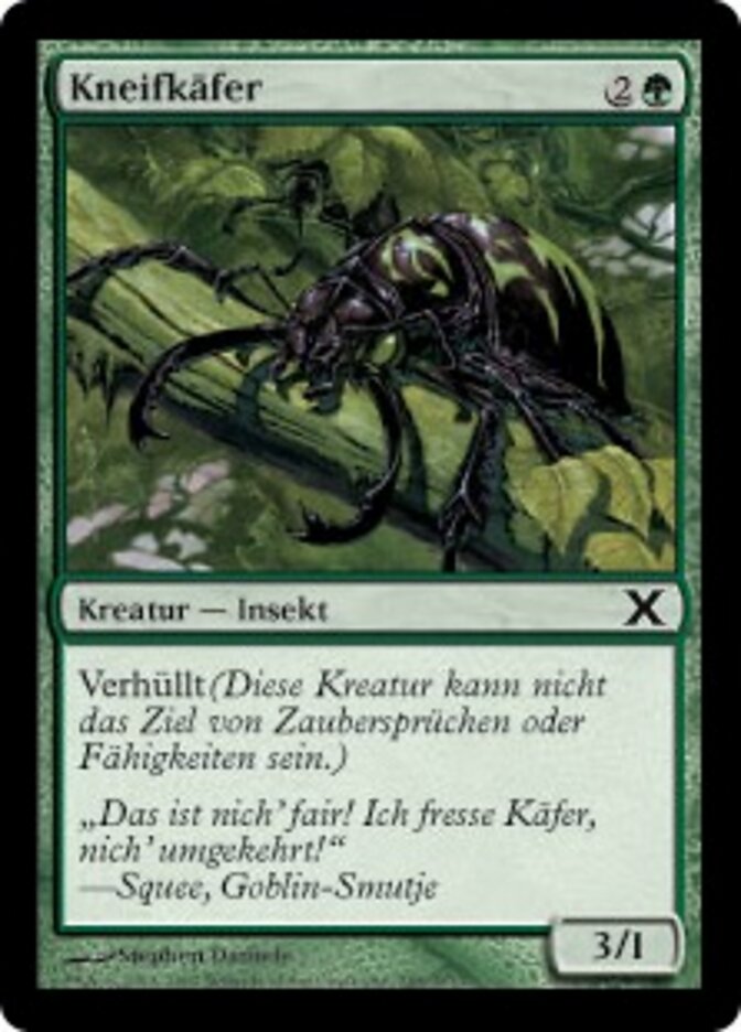 Kneifkäfer