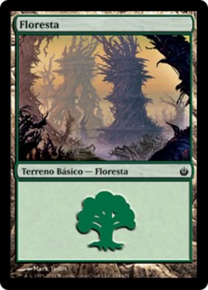 Floresta