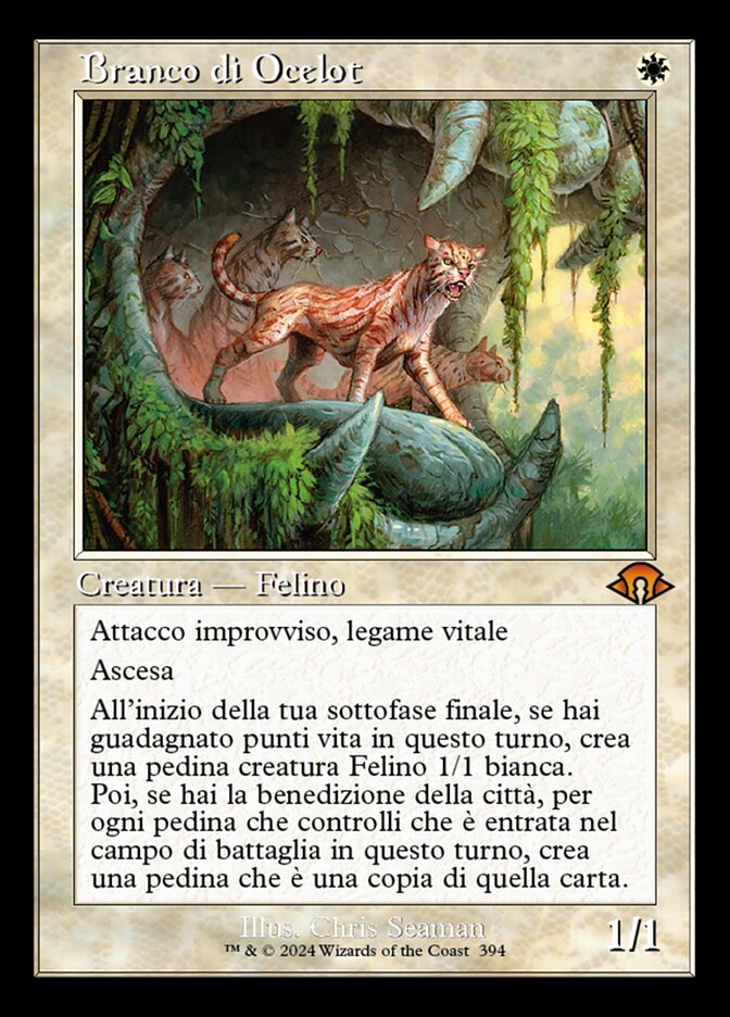 Branco di Ocelot
