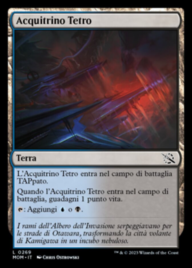 Acquitrino Tetro