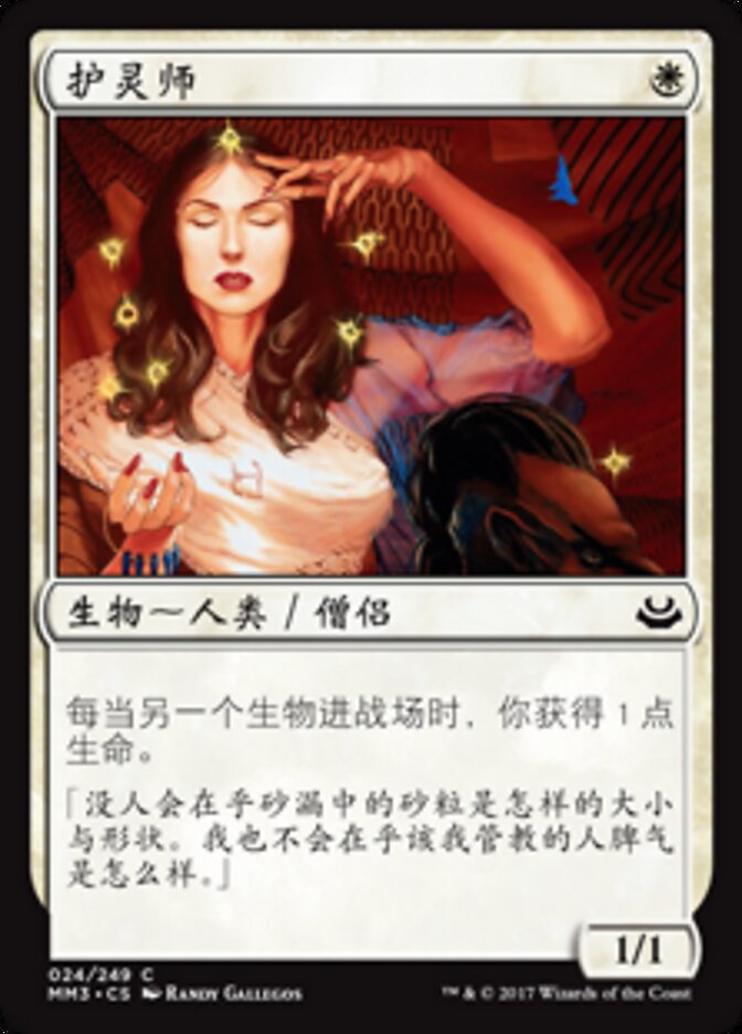 护灵师