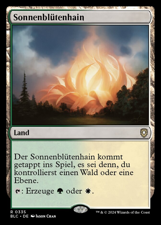 Sonnenblütenhain