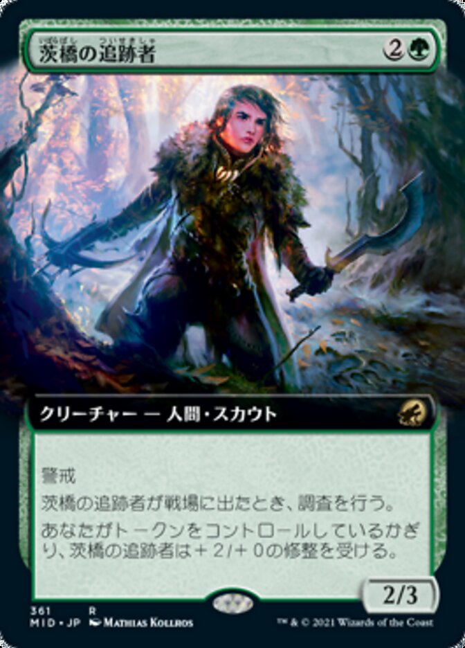 茨橋の追跡者
