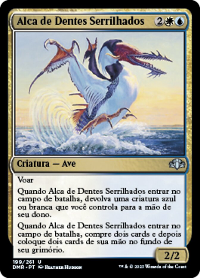Alca de Dentes Serrilhados