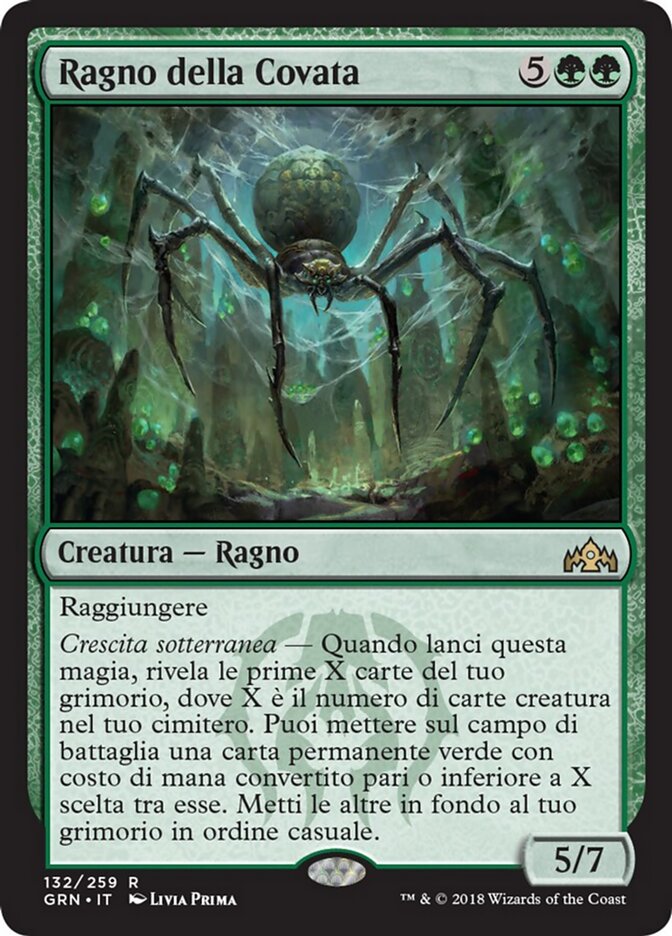 Ragno della Covata