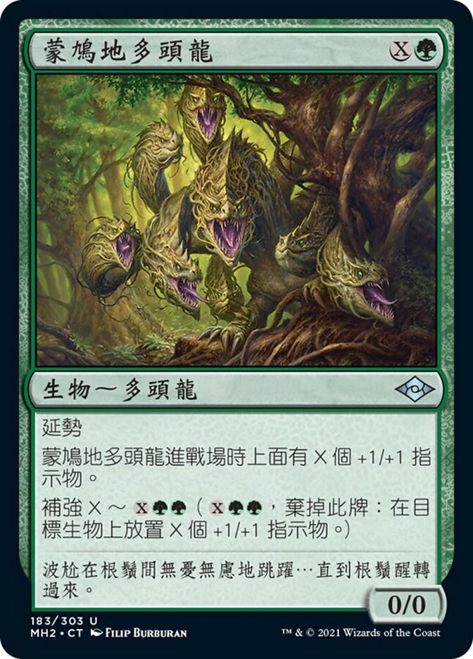 蒙鳩地多頭龍