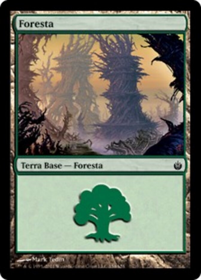 Foresta