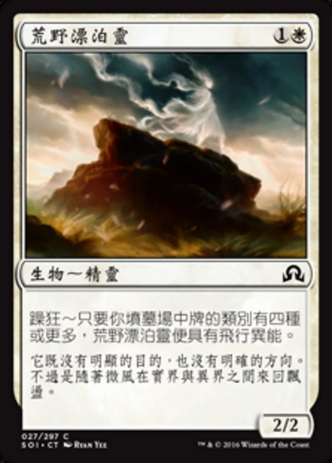 荒野漂泊靈