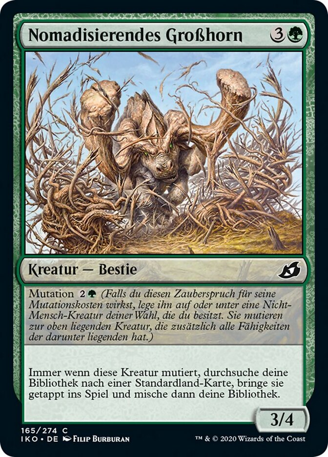 Nomadisierendes Großhorn