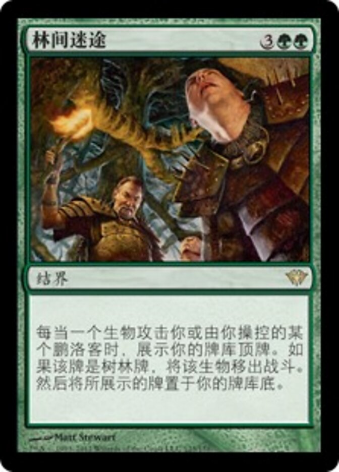 林间迷途