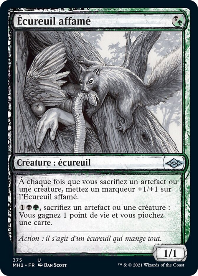 Écureuil affamé