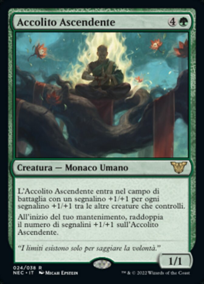 Accolito Ascendente