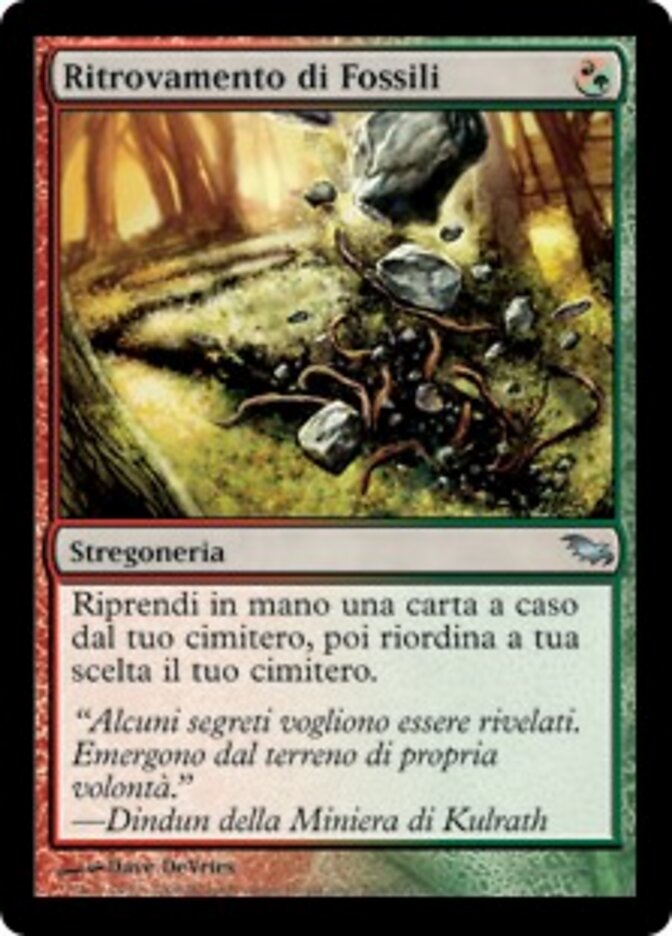 Ritrovamento di Fossili
