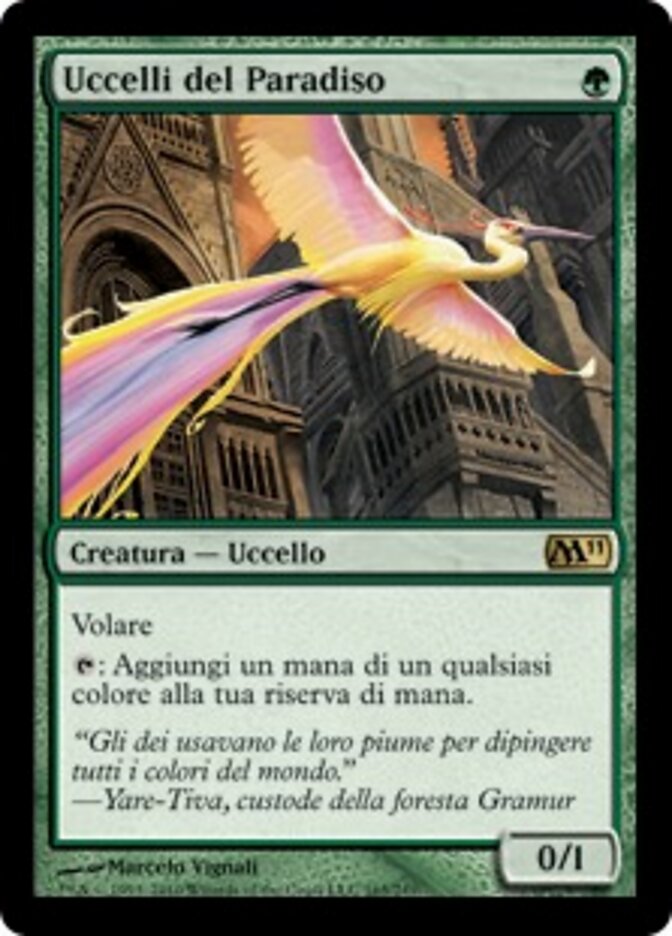 Uccelli del Paradiso