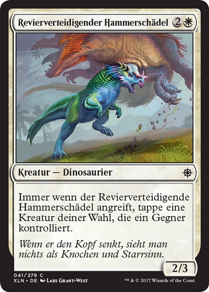 Revierverteidigender Hammerschädel