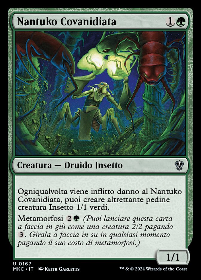Nantuko Covanidiata