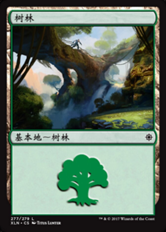 树林