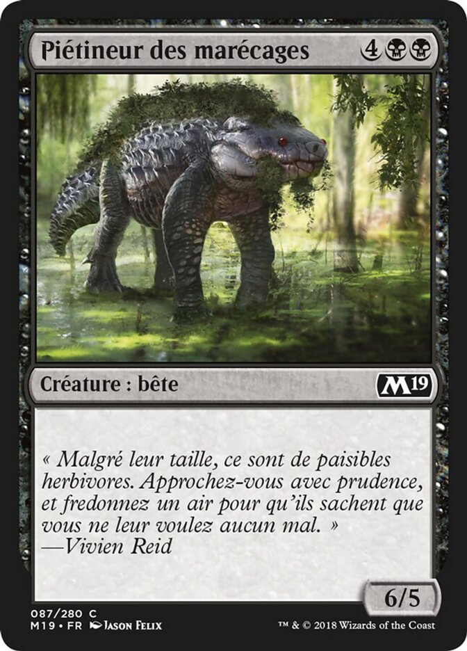 Piétineur des marécages