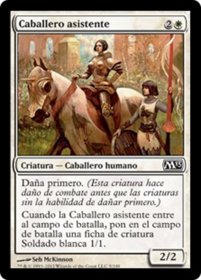 Caballero asistente