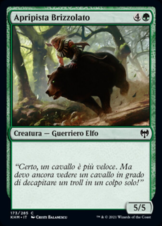 Apripista Brizzolato