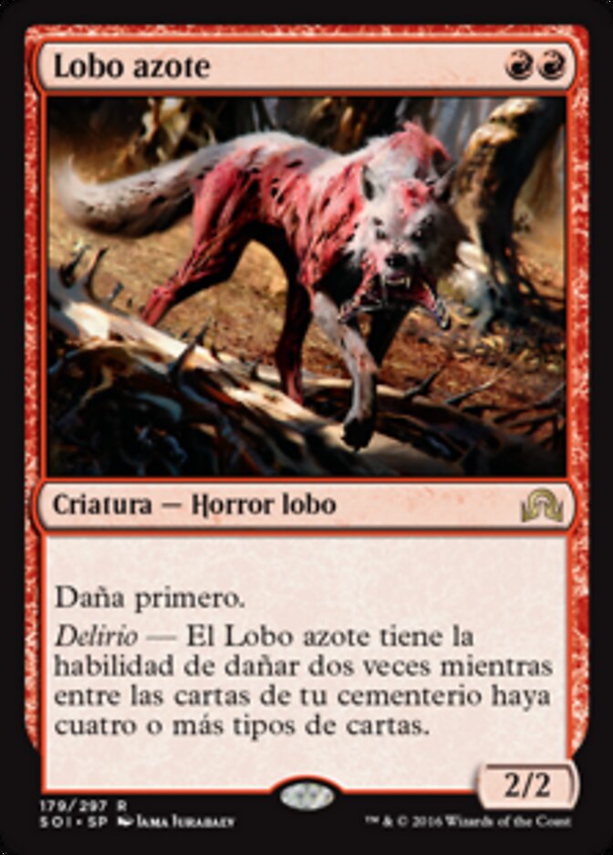 Lobo azote
