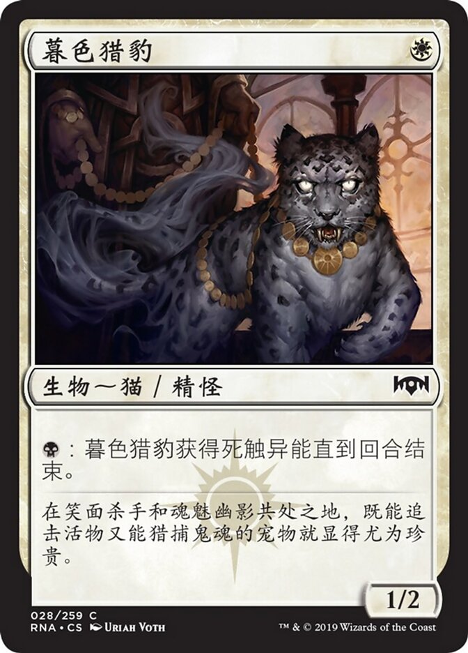 暮色猎豹