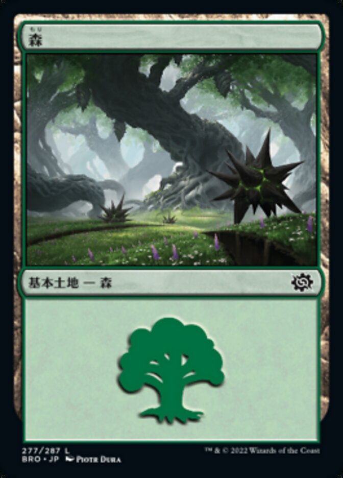 森