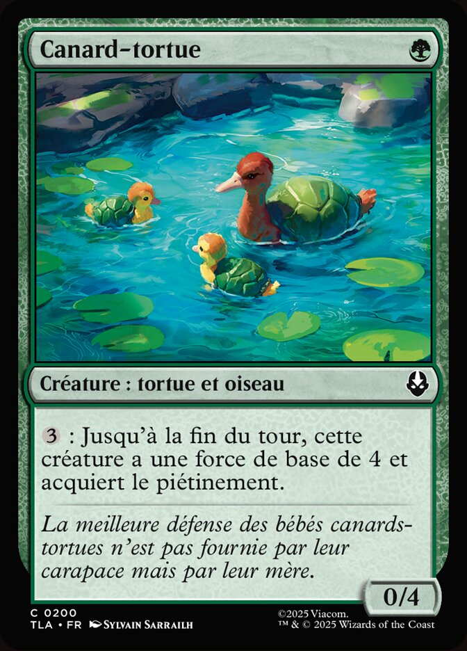 Canard-tortue