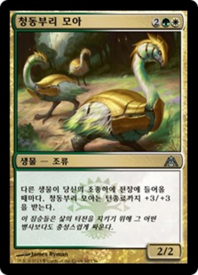 청동부리 모아