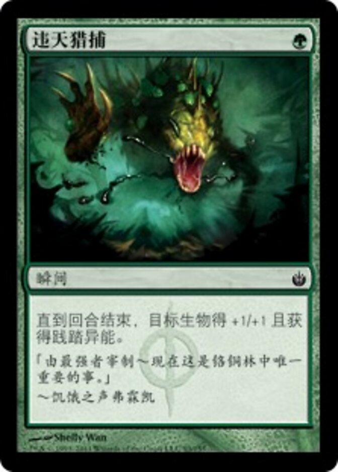 违天猎捕