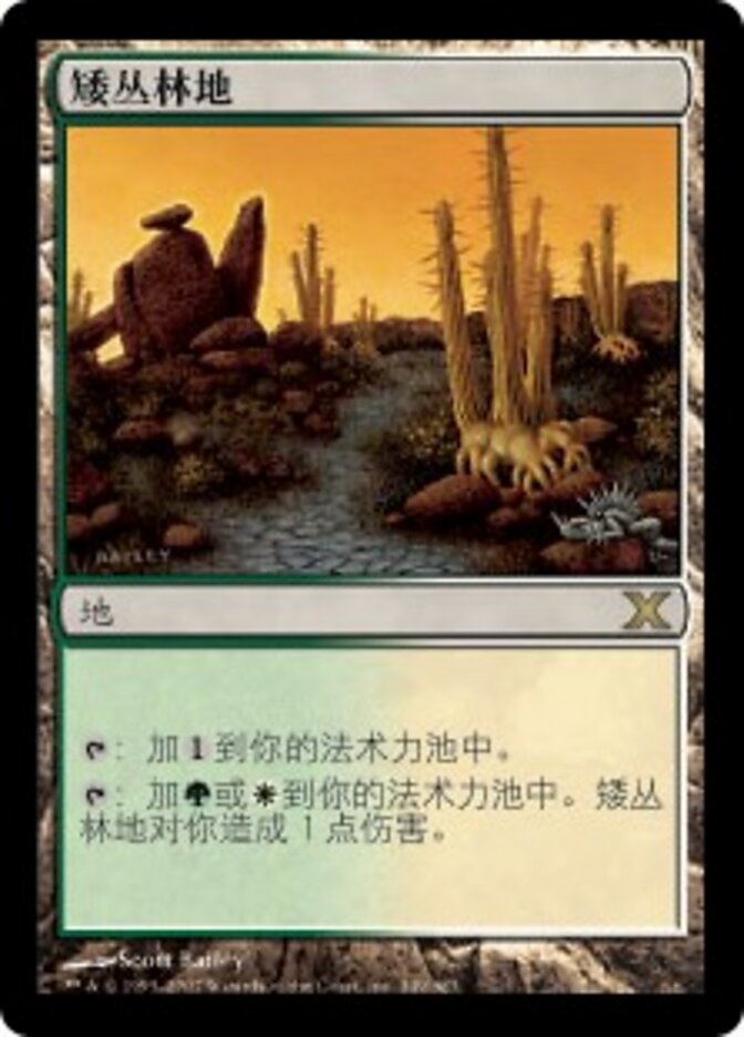 矮丛林地