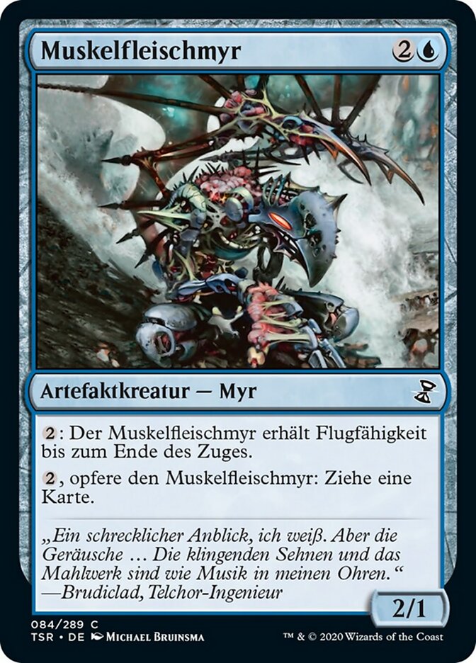 Muskelfleischmyr