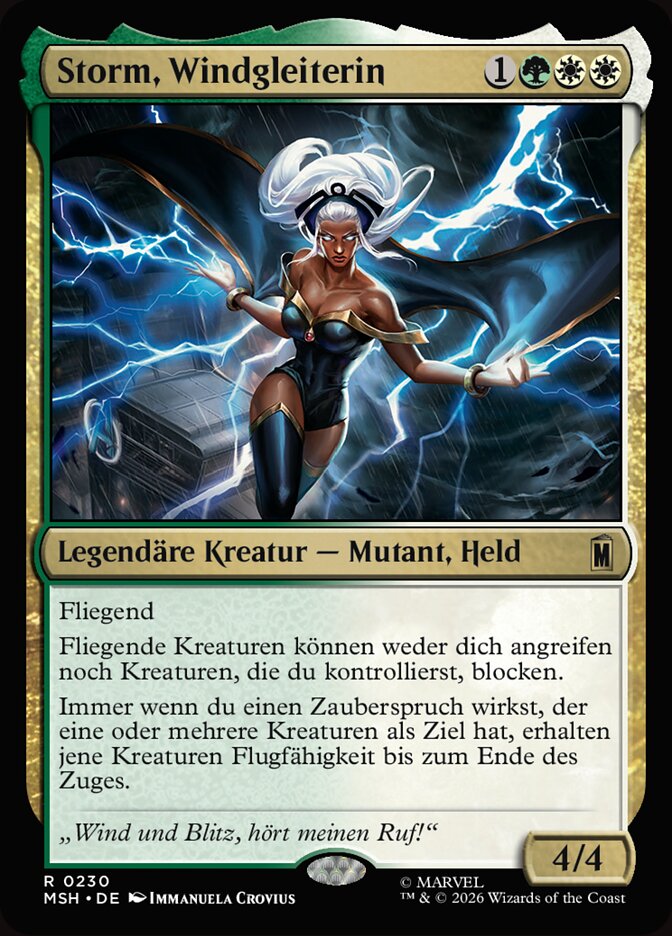 Storm, Windgleiterin