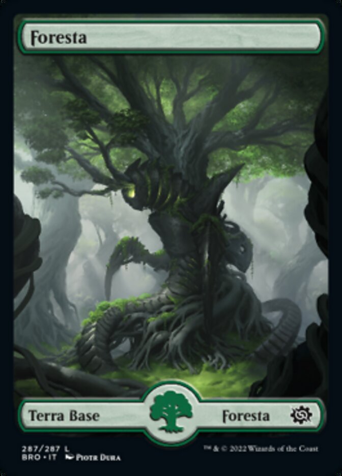 Foresta