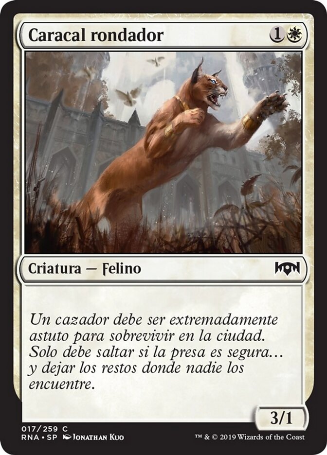 Caracal rondador