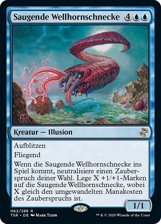 Saugende Wellhornschnecke
