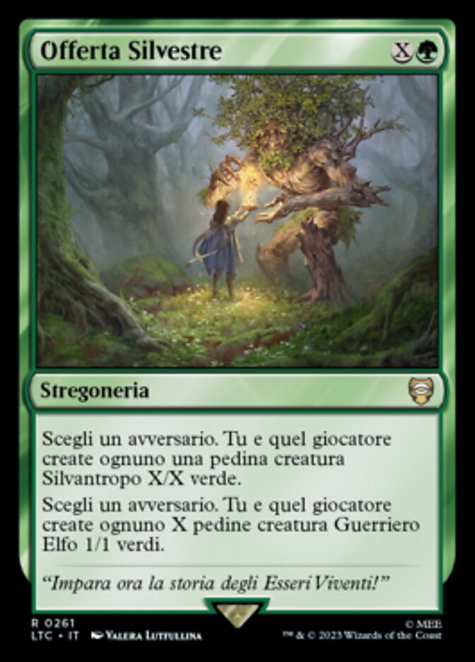 Offerta Silvestre