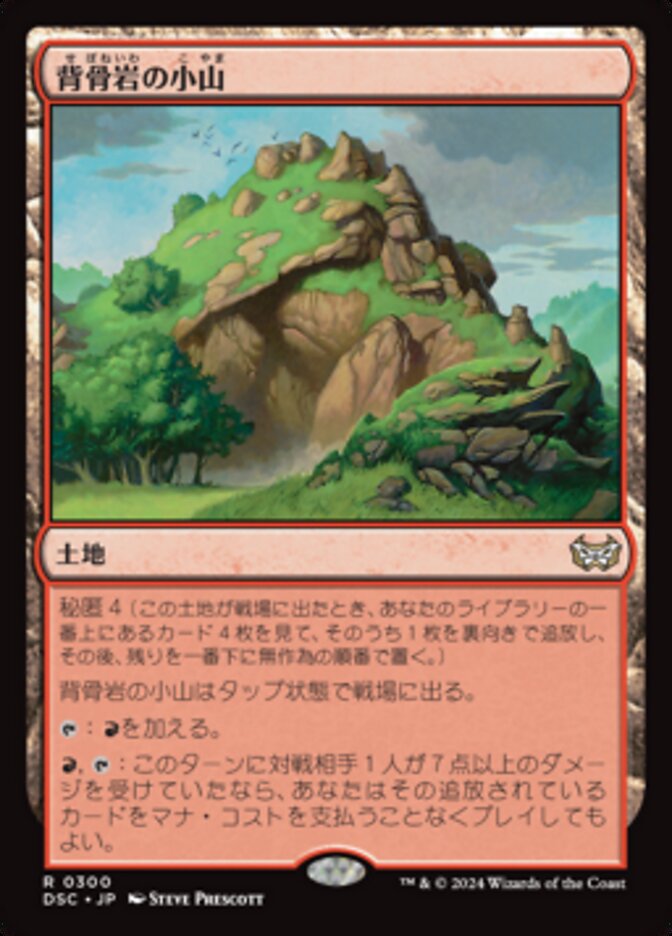 背骨岩の小山
