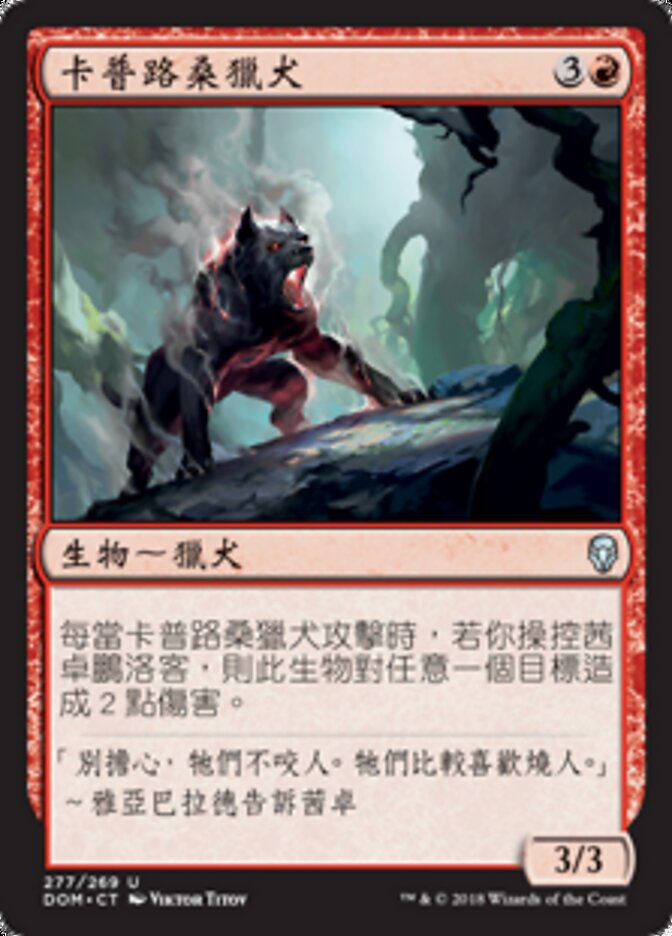 卡普路桑獵犬