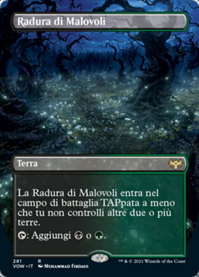 Radura di Malovoli