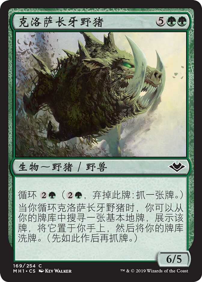 克洛萨长牙野猪