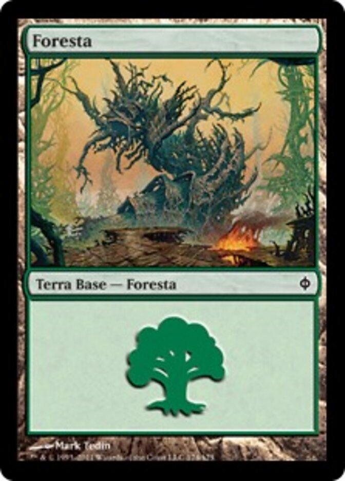 Foresta