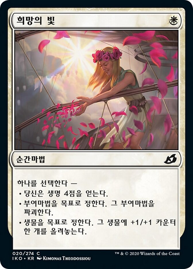희망의 빛
