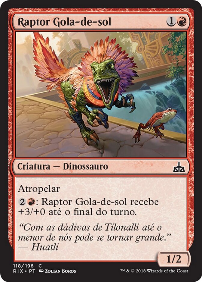 Raptor Gola-de-sol