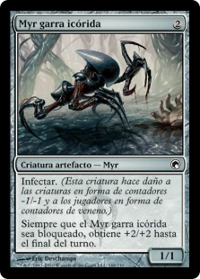 Myr garra icórida