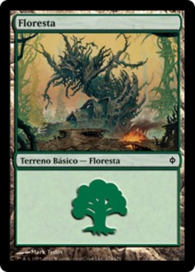 Floresta