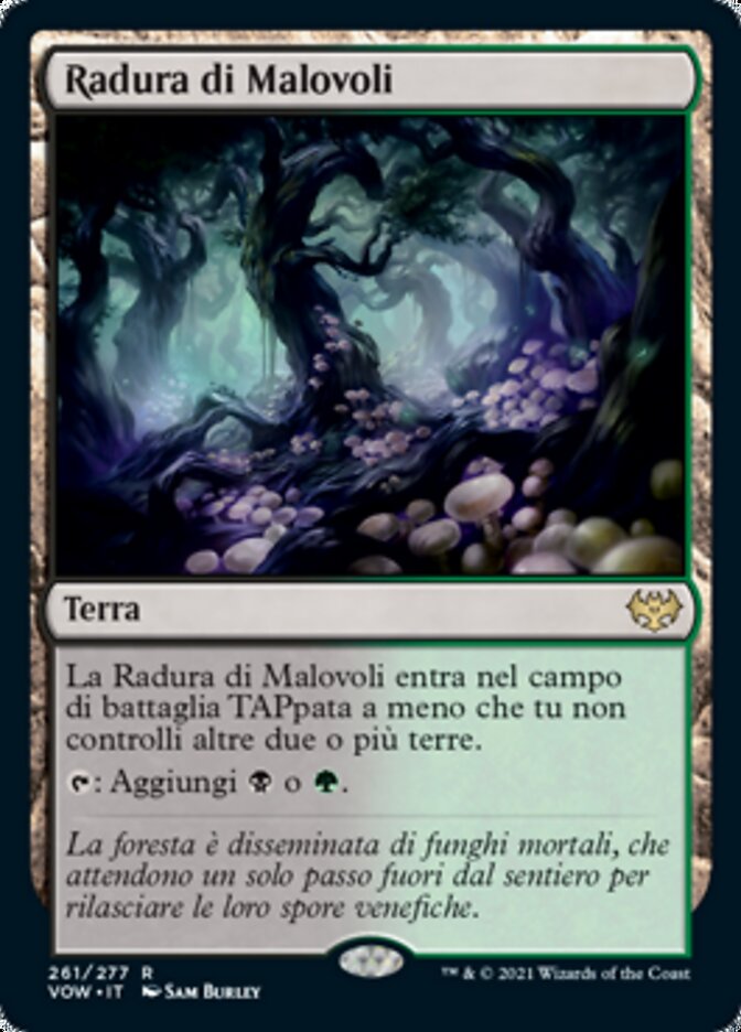 Radura di Malovoli