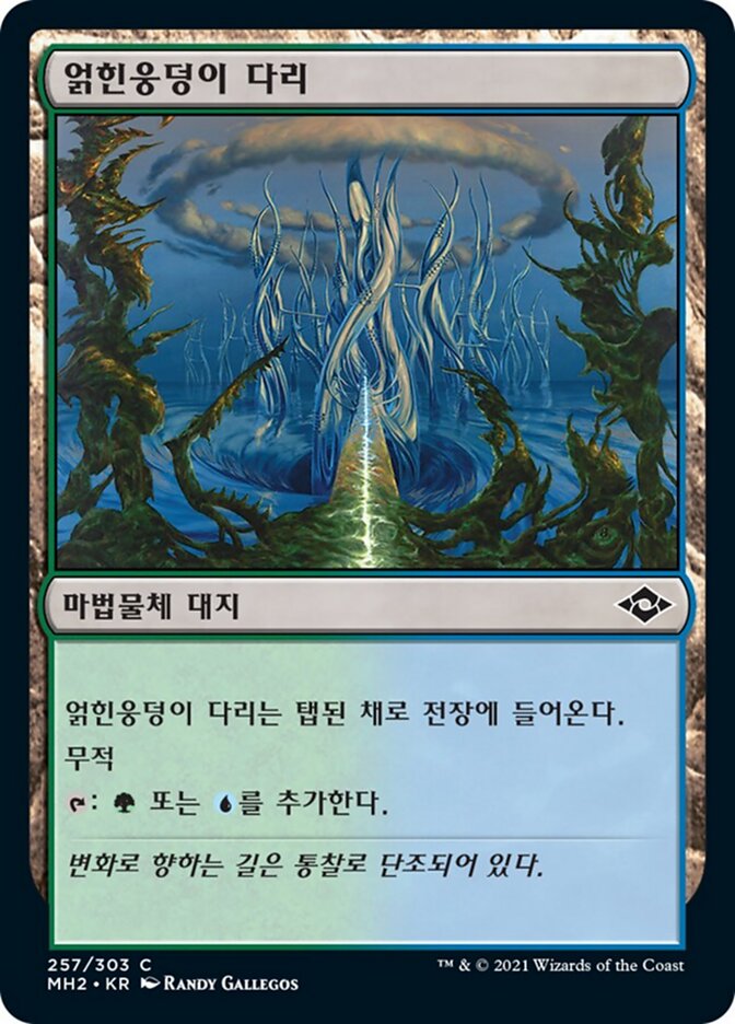 얽힌웅덩이 다리